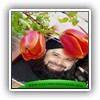 Owais Raza Qadri (2)